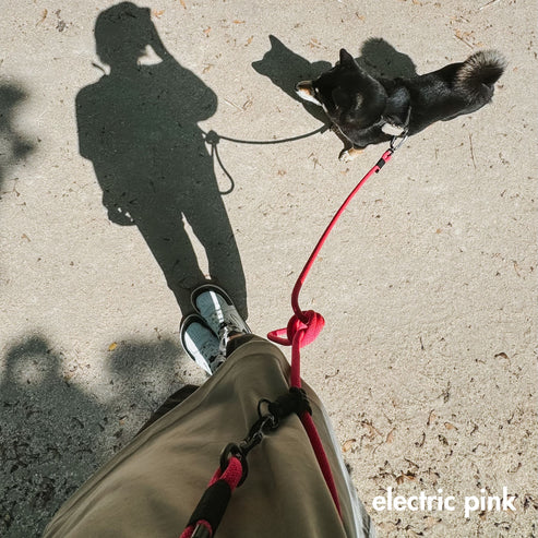 ADAPTA | MULTI-WAY CONVERTIBLE DOG LEASH (9-10MM ROPE)