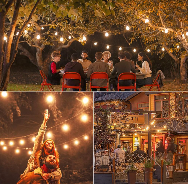 Radiant Solar Festoon Lights
