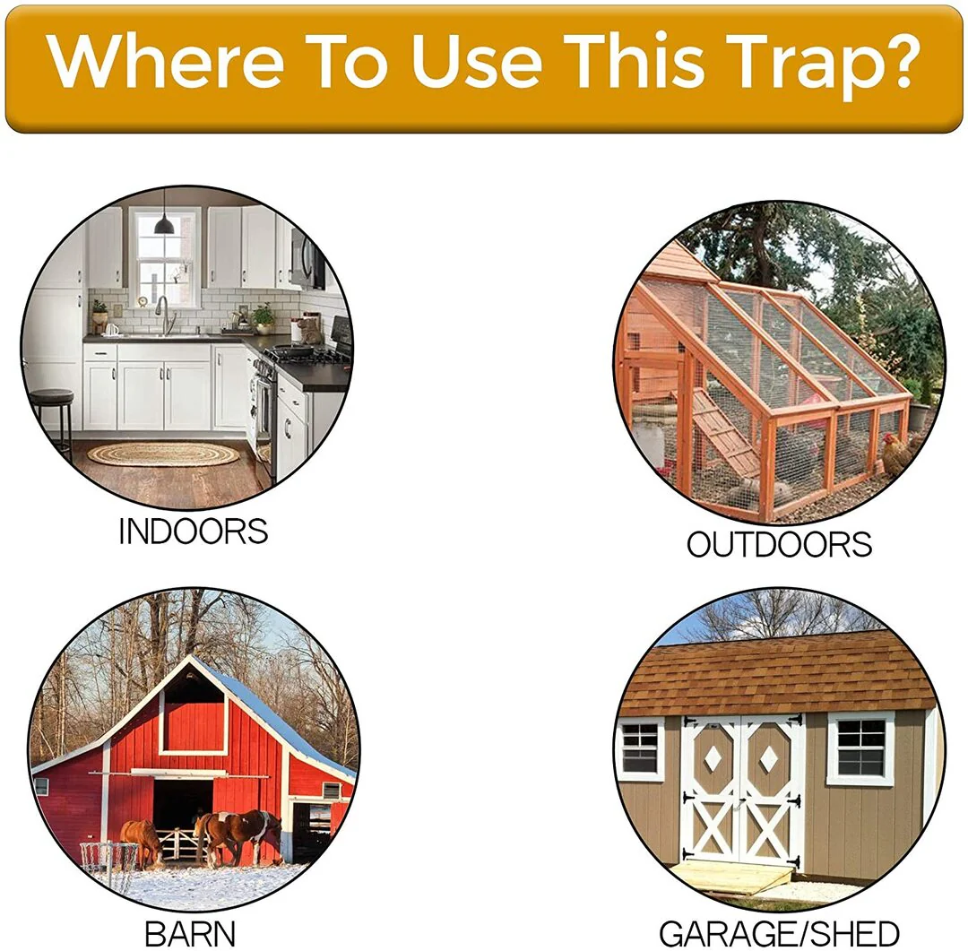 Humane No-Touch Bucket Lid Mouse Trap