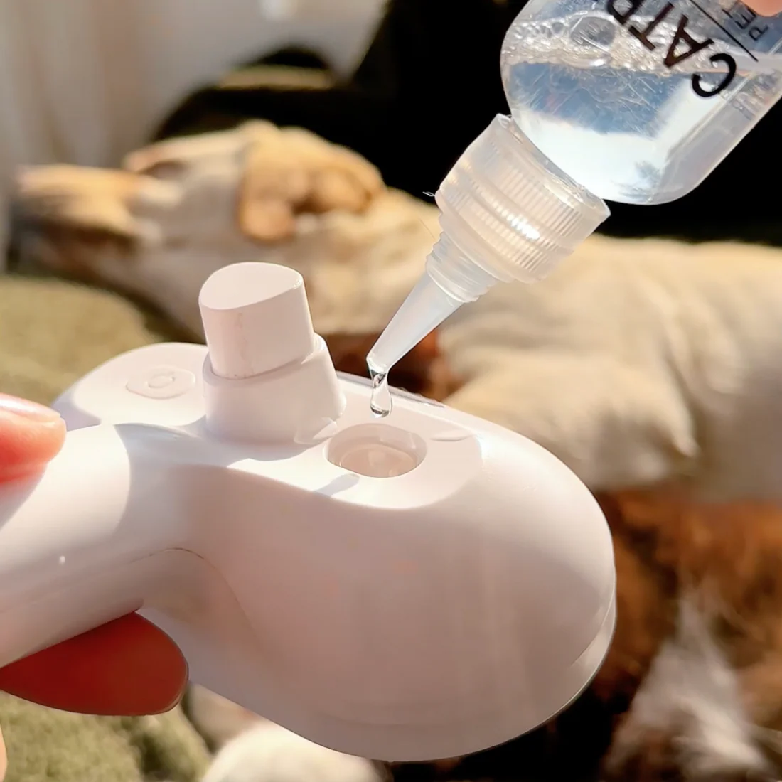 Gentle 3-in-1 Pet Steam Brush