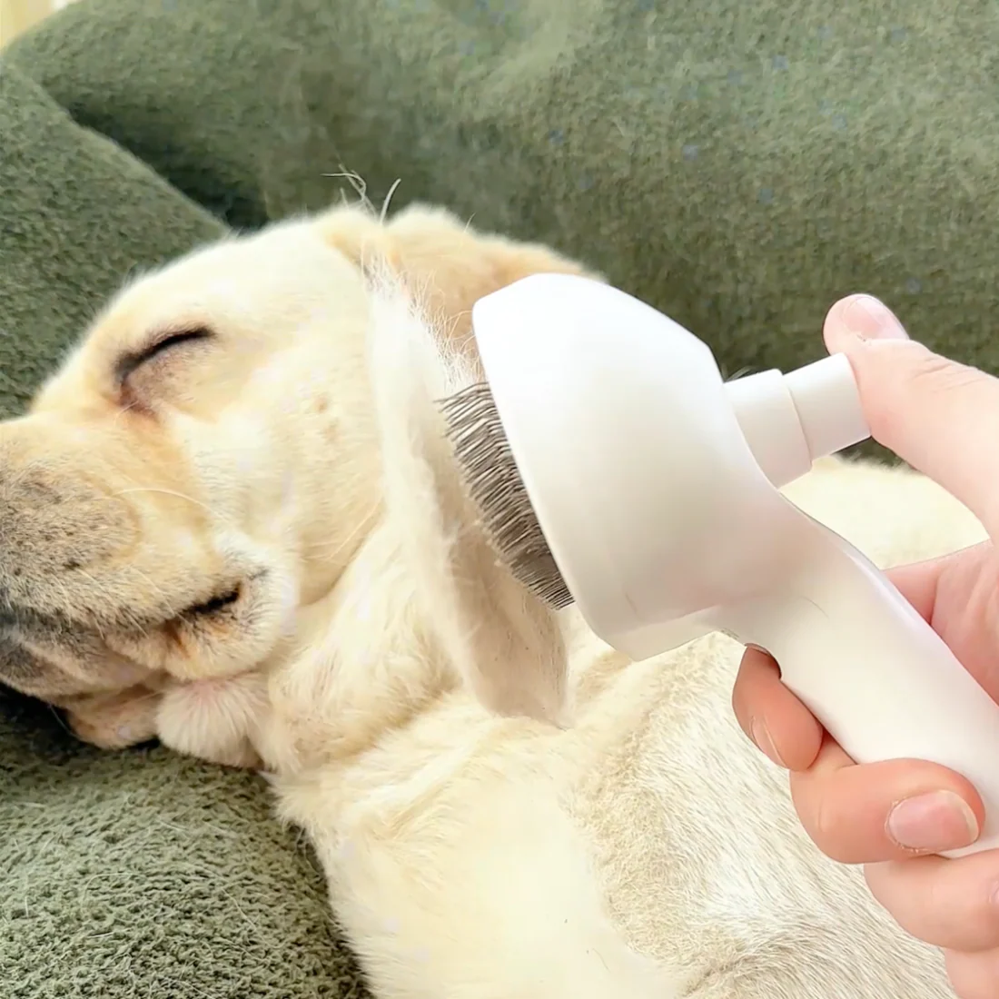 Gentle 3-in-1 Pet Steam Brush