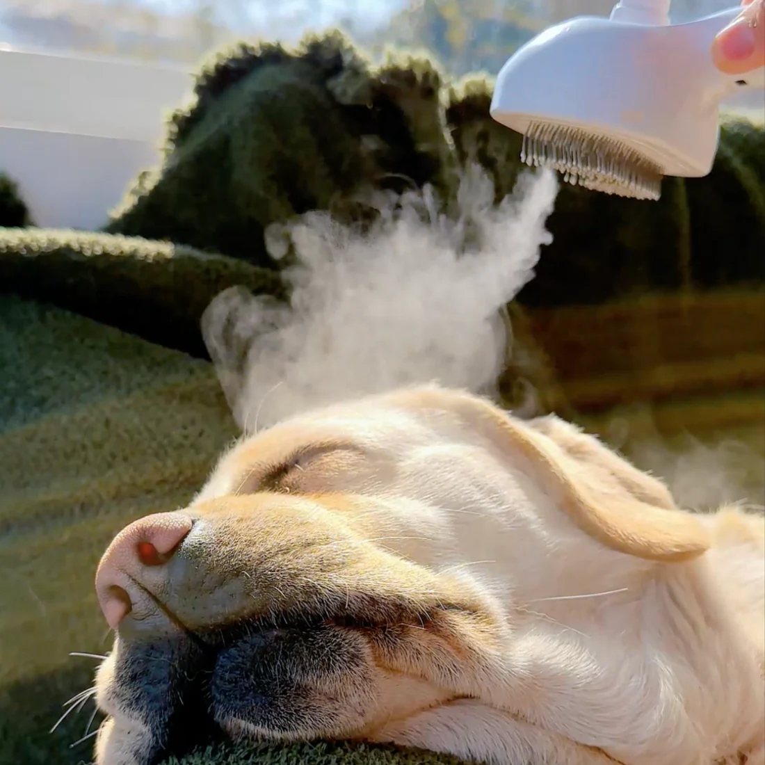 Gentle 3-in-1 Pet Steam Brush
