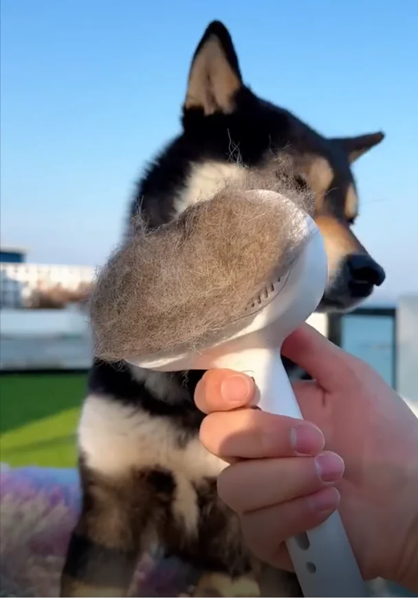 Gentle Soothing Pet Grooming Brush