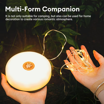 2-in-1 Camping String Light & Lantern