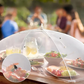 Breezy Shield Mesh Pop-Up Food Cover